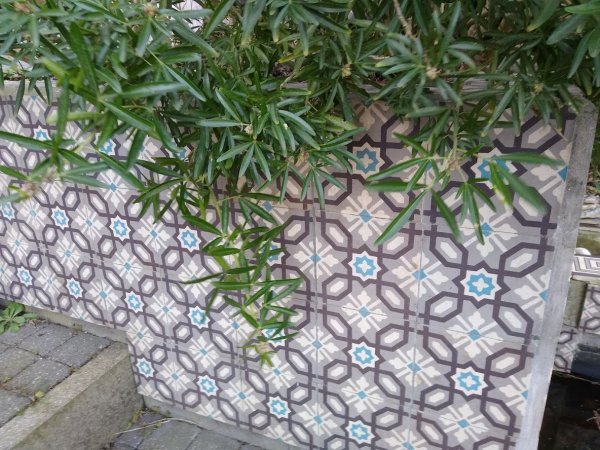 Hippe & sierlijke cementtegels